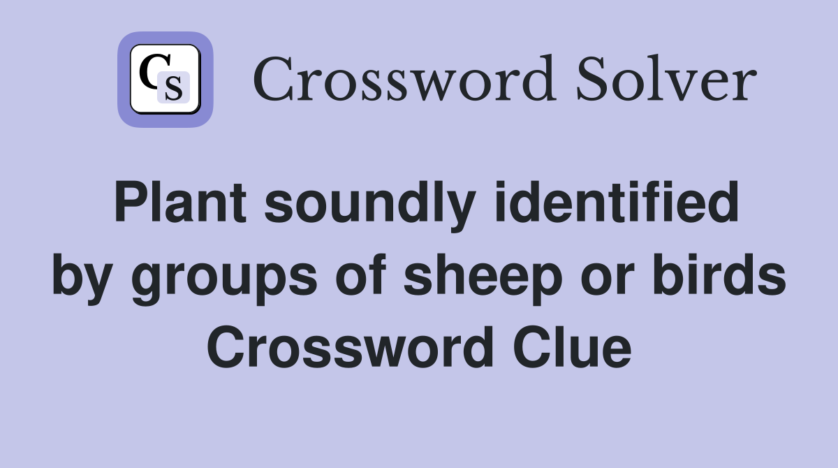 Plant soundly identified by groups of sheep or birds Crossword Clue